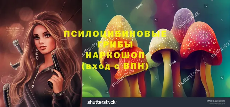 Галлюциногенные грибы Magic Shrooms  дарнет шоп  Луховицы 